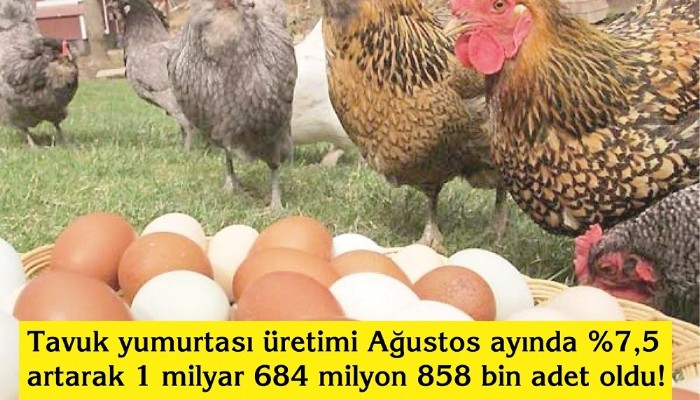 İneğini Kesen Tavuk Mu Aldı?