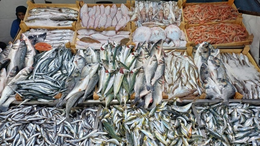 Mevsime Göre Balık Fiyatları: Hangi Balık Daha Uygun?