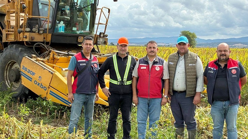 Biga’da Tohumluk Mısır Hasadı Başladı