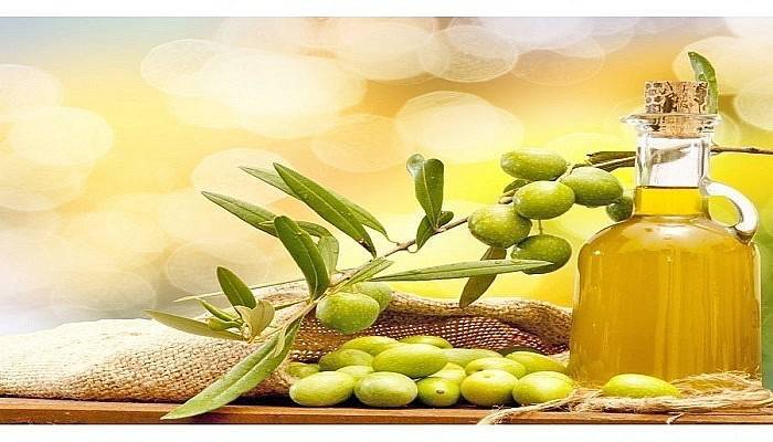 Zeytinyağı Fark Ödemesi Desteğinde Son Gün 2 Haziran