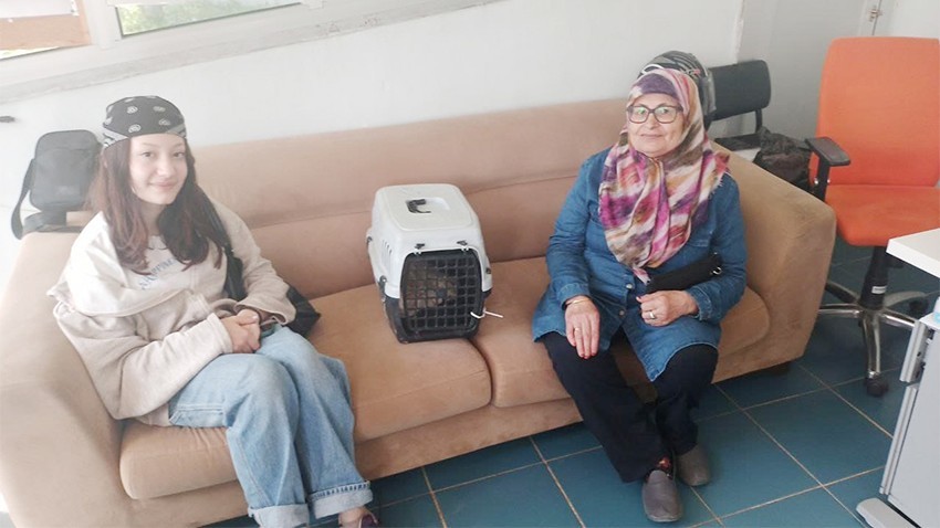 Sokak hayvanlarına yönelik çalışmalar devam ediyor