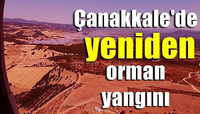 Çanakkale'de orman yangını