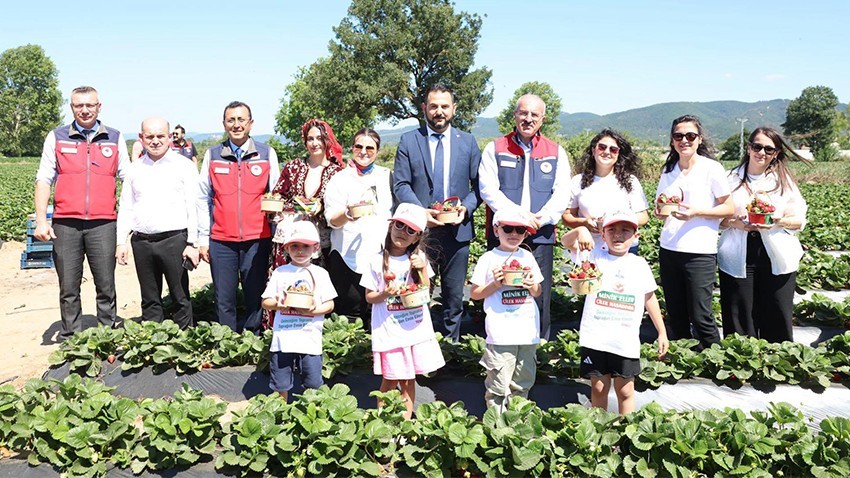 Yenice'de “Çilek Hasat Şenliği” Gerçekleştirildi