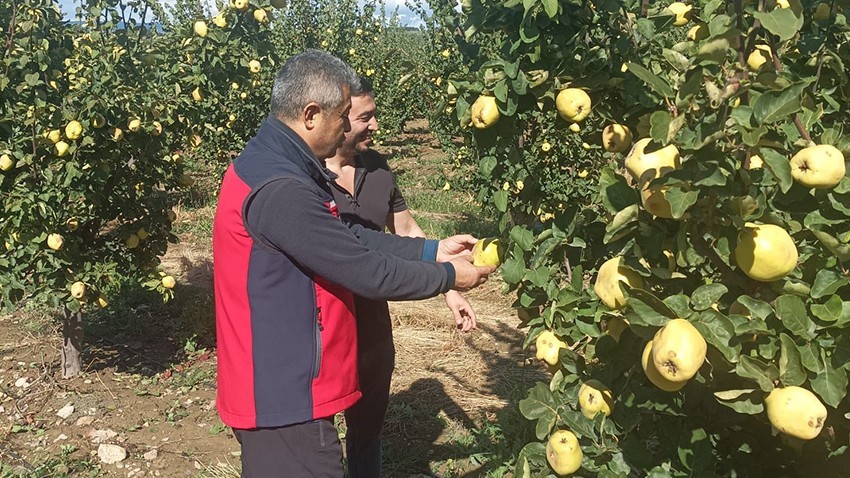Dolu Yağışı Sonrası Hasar Tespit Çalışmaları Yapıldı