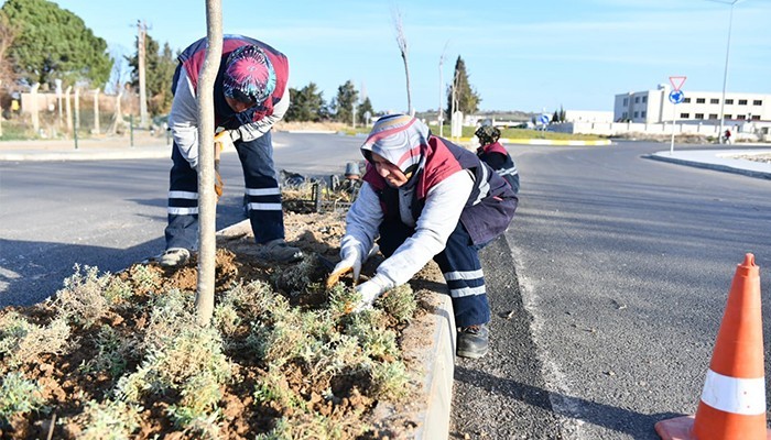 Yeşil alanlarda çalışmalar devam ediyor