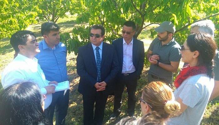  Çin Tarım Heyetinden kiraz bahçelerinde inceleme