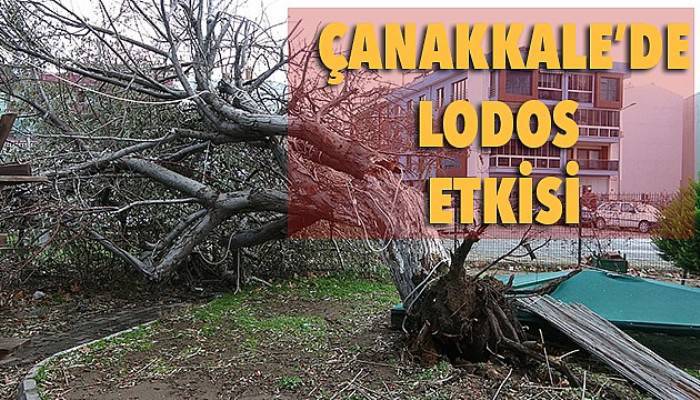 Lodos fırtınası yaşamı olumsuz etkiledi