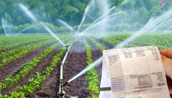 ÇİFTÇİYE ELEKTRİK FATURASI MÜJDESİ! AYLIK ÖDEME YERİNE HASAT SONUNDA ÖDENEBİLECEK