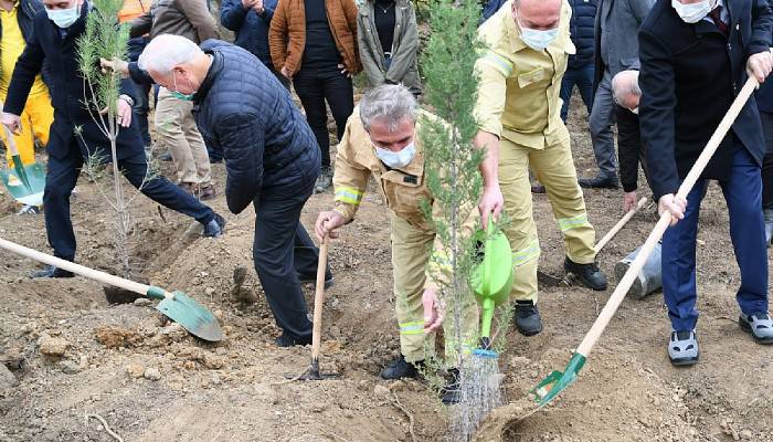 Lapseki’de Milli Ağaçlandırma Günü nedeniyle 500 fidan dikildi