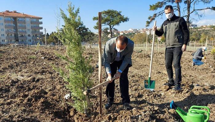 Ayvacık’ta yüzlerce fidan toprakla buluştu