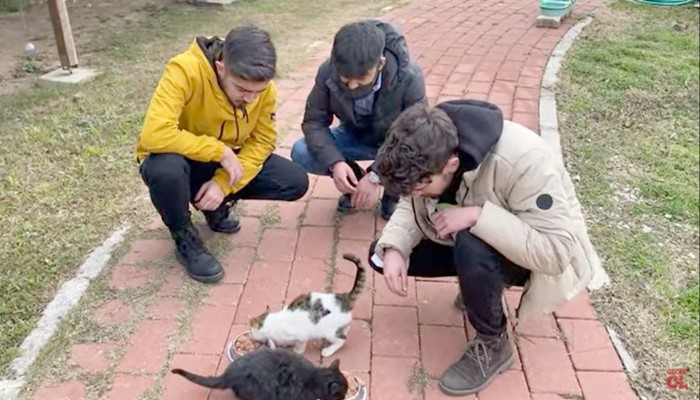 Öğrenciler Hazırladıkları Video İle Sokak Hayvanlarının Sorunlarına Dikkat Çekti