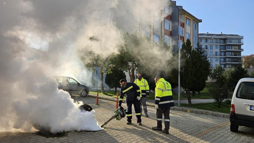 Kepez Belediyesi, Sinek ve Haşerelere Karşı Önlem Alıyor