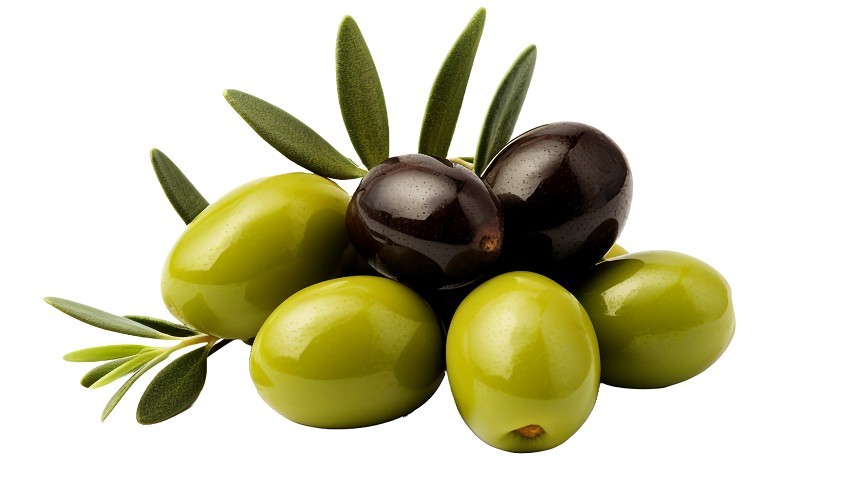 ÇOMÜ Zeytin Üretiminde Yeni Adımlar Atıyor