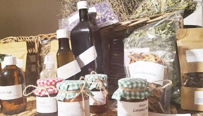 Doğal Tıbbi Aromatik Bitkilere İlgi Artıyor