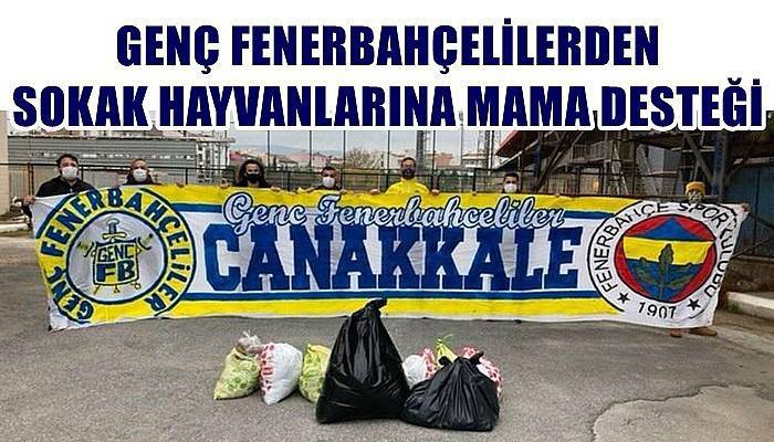 Genç Fenerbahçelilerden sokak hayvanlarına mama desteği