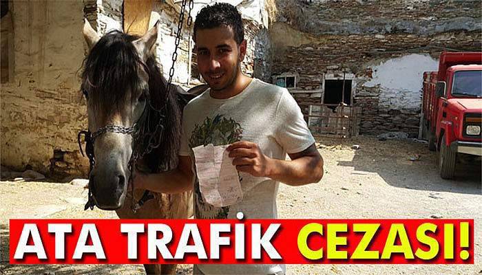 Yarış atına trafik cezası