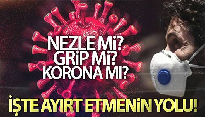 Koronavirüsü nezle, grip ve alerjiden ayırt etme yolları