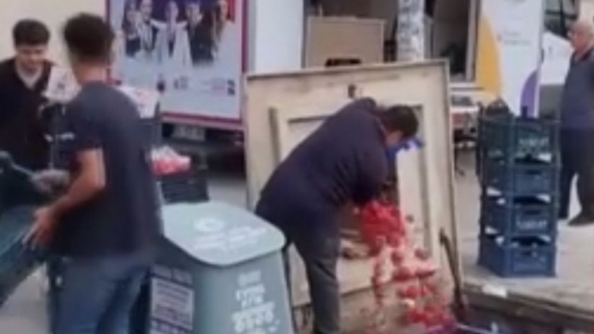 Kasa kasa domatesi çöpe döken markete ceza yağdı (VİDEO)