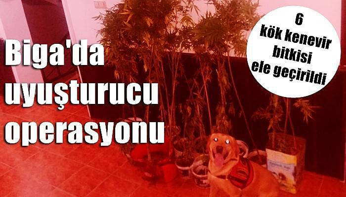 Biga'da uyuşturucu operasyonu