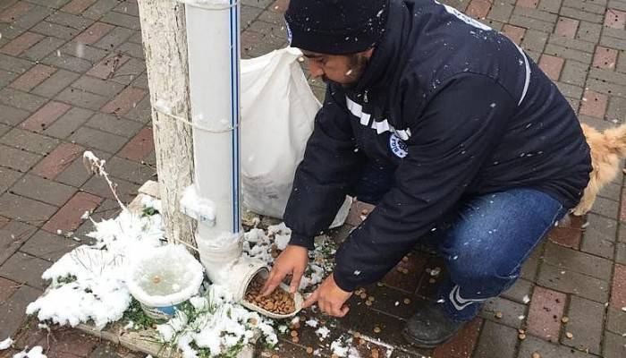 Biga Belediyesi soğuk havalarda sokak hayvanlarını unutmadı