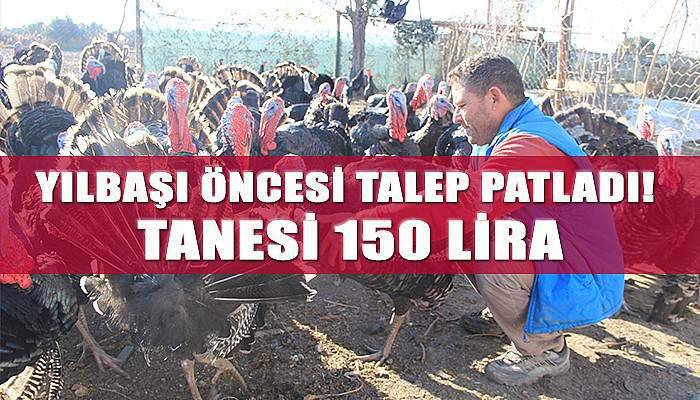 Yılbaşı öncesi talep patladı! Tanesi 150 lira