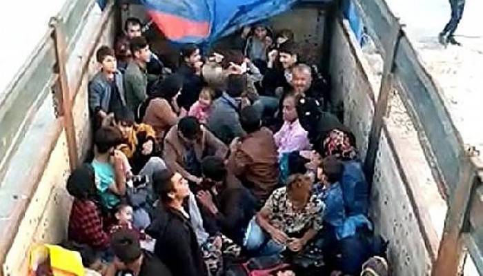 Çanakkale'de 77 kaçak göçmen yakalandı, 1 organizatör tutuklandı