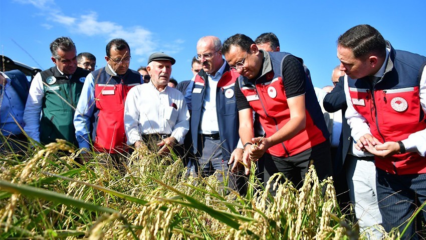 Yangından Zarar Gören Çiftçiler İçin Umut Hasadı