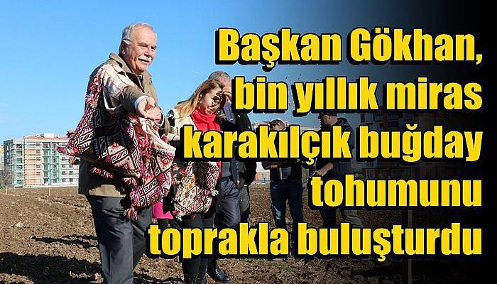 Başkan Gökhan, bin yıllık miras karakılçık buğday tohumunu toprakla buluşturdu