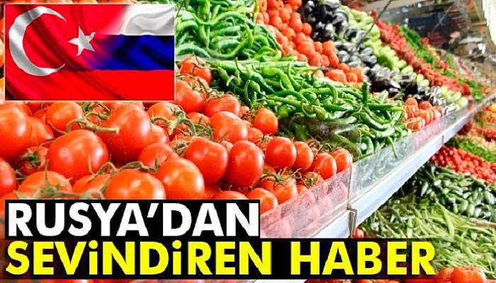 Rusya, yaş sebze yasağının kalkması için komisyona hız verdi