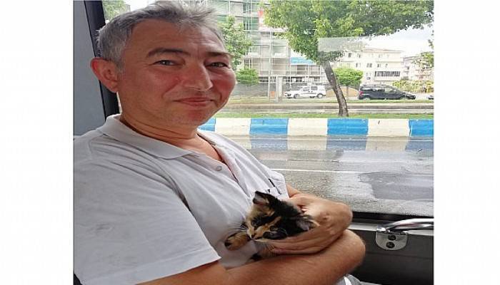 Oğlunu kampa, yavru kediyi annesine götürdü 