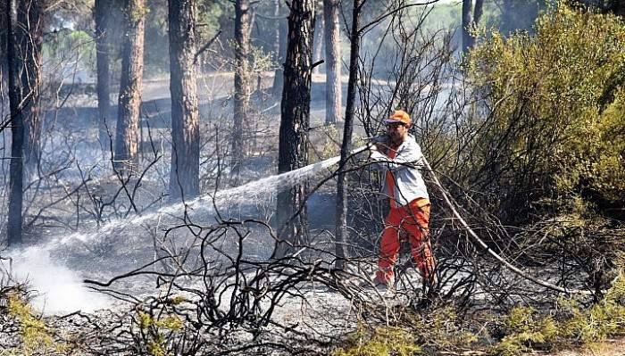  Çanakkale'de orman yangını