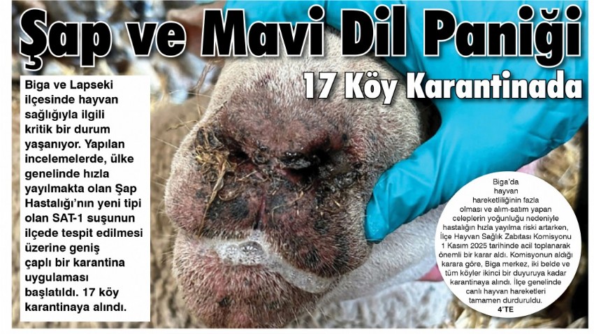 Şap ve Mavi Dil Paniği 17 Köy Karantinada