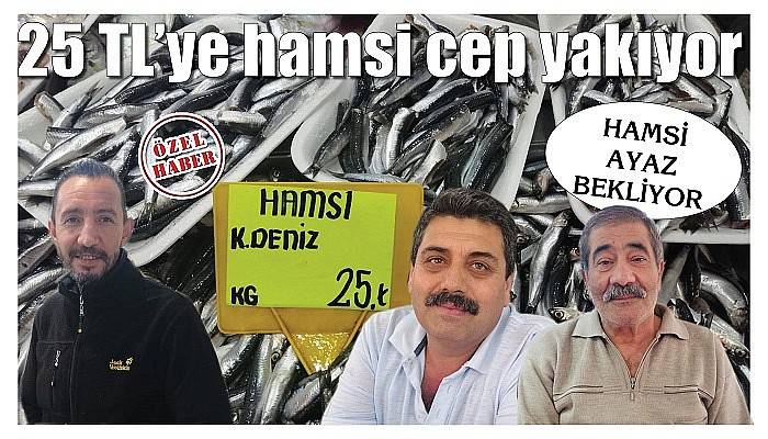 Hamsi ayaz bekliyor 25 TL’ye hamsi cep yakıyor