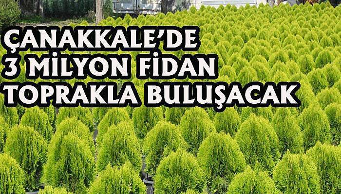 3 Milyon Fidan Toprakla Bulaşacak