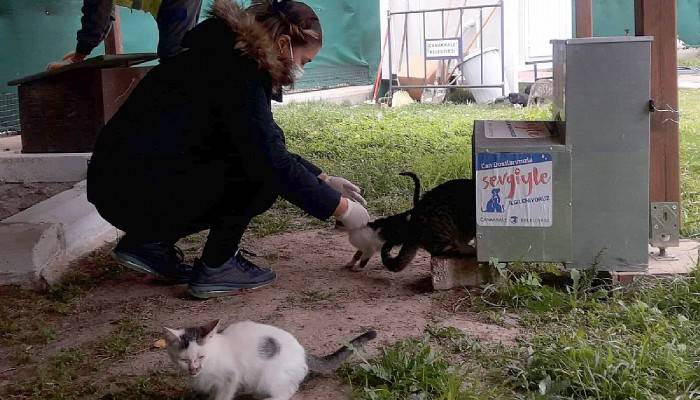 Düzenli sağlık kontrollerinden geçiyorlar