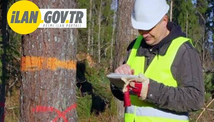 TEKNİK DENETİM KONTROL VE RAPORLANMASI HİZMETİ ALINACAK