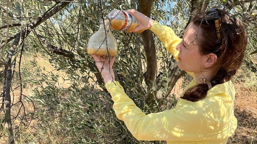 Tarladan Sofraya Güvenilir Gıda