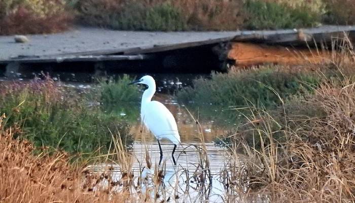  ''Çanakkale, Foça, Alaçatı, Bodrum aksının önemli bir parçası''