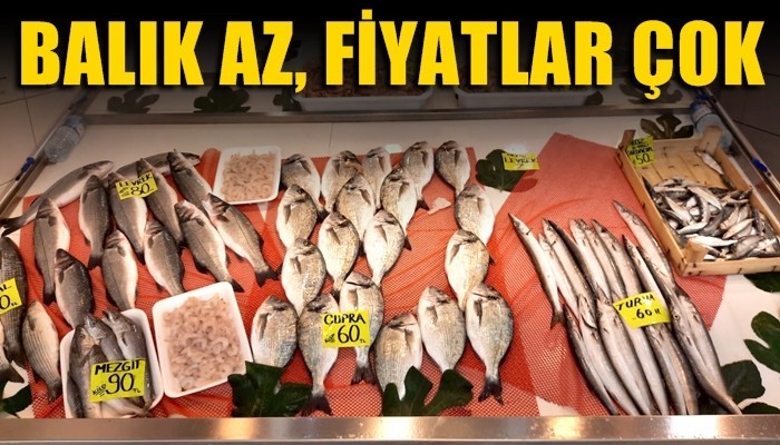 Balık az, fiyatlar yüksek!