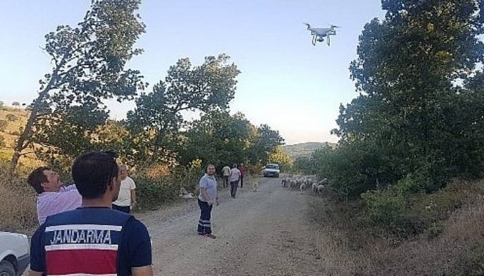 Kaybolan 56 koyunu jandarma drone ile buldu