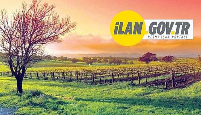 26 TARLA İHALE YOLU İLE SATILACAK