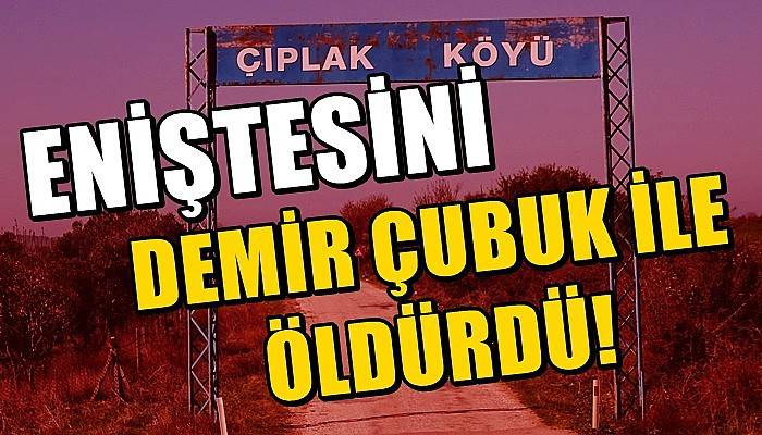 Eniştesini demir çubukla öldürdü