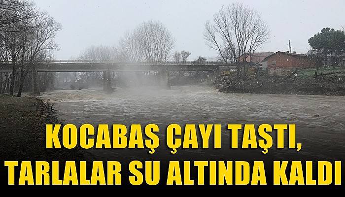 Kocabaş Çayı taştı, tarlalar su altında kaldı (VİDEO)