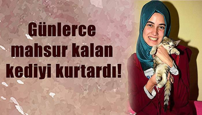 Günlerce mahsur kalan kediyi kurtardı!