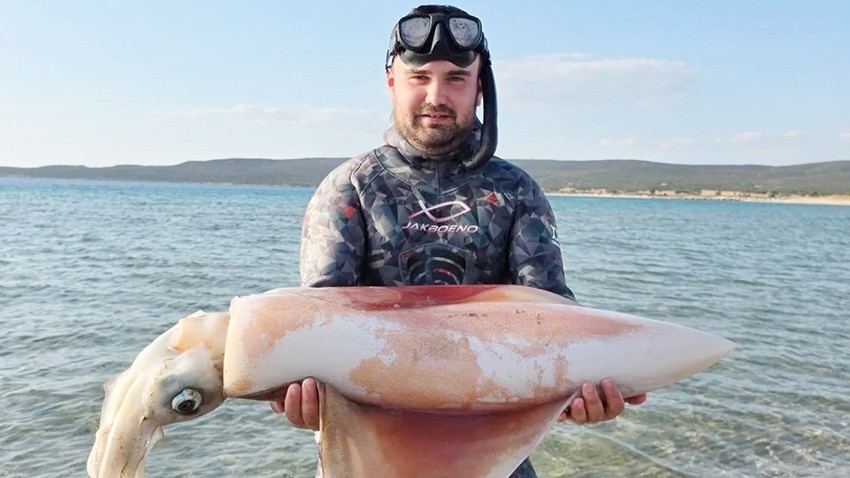 Dev Kalamar Avlandı 