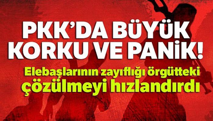 PKK'da şimdi sıra kimde korkusu had safhada