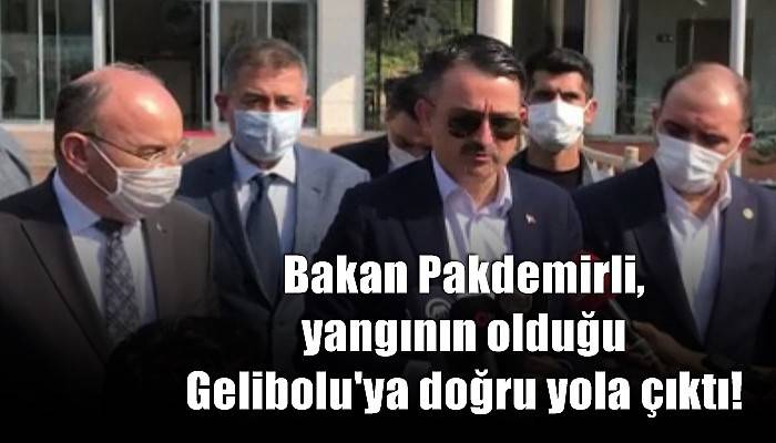 Bakan Pakdemirli’den Gelibolu yangınıyla ilgili açıklama