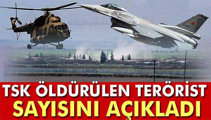 TSK: Şemdinli'de 331 terörist öldürüldü