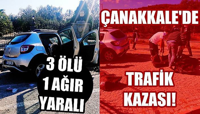 Ayvacık'ta Trafik Kazası!