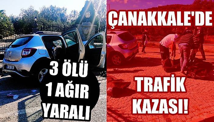 Ayvacık'ta Trafik Kazası!
